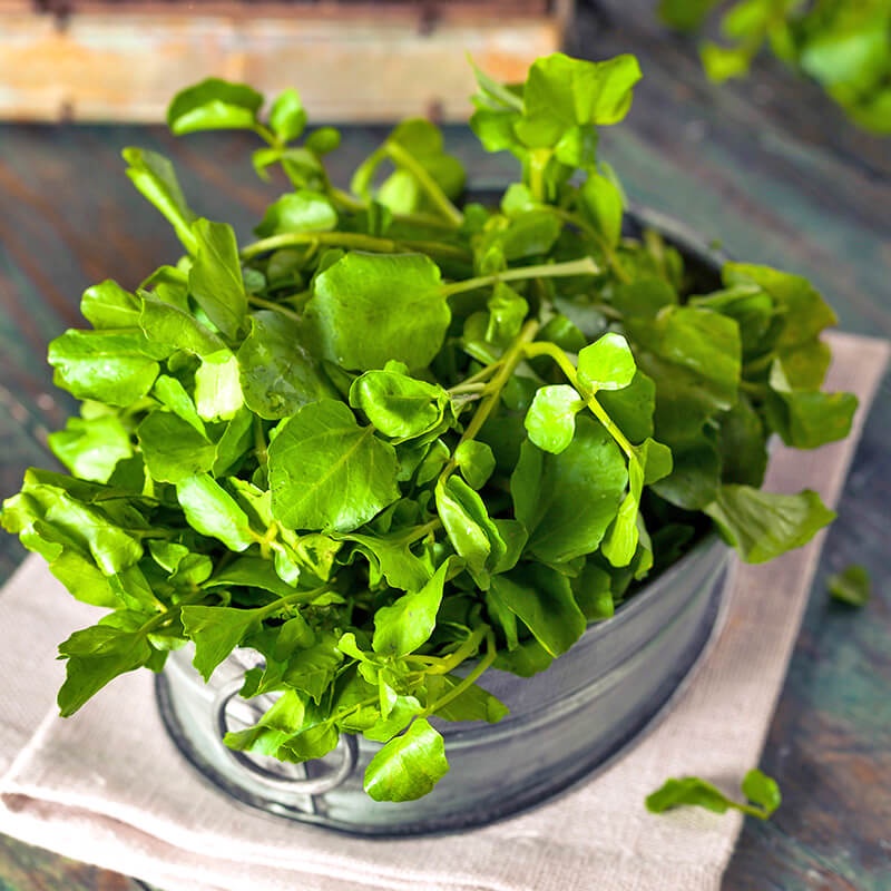 Rau Liệt Loại Rau “Vàng” Cho Cơ Thể